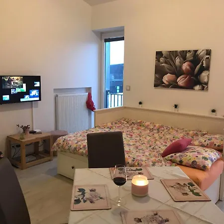 Bella Klinovec Apartamento Loučná pod Klínovcem